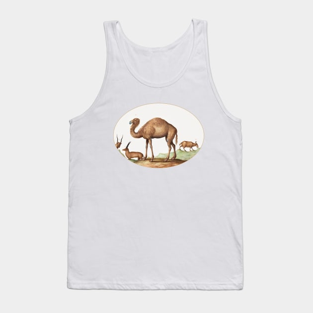 Camel, Ibex, and Goat (1575–1580) Tank Top by WAITE-SMITH VINTAGE ART